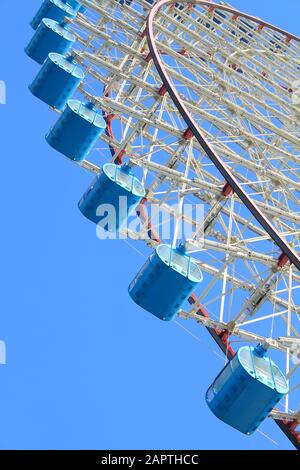 Riesenferris-Radschoten Stockfoto