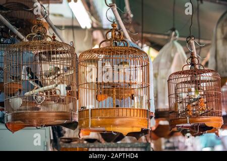Vögel in Käfigen zum Verkauf an Vögel Markt, Kowloon Hong Kong, beliebtes Touristenziel. Stockfoto