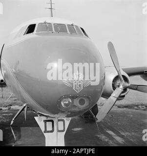 Unternehmensstil und Embleme KLM Das KLM-Logo auf der Nase des viermotorigen Passagierflugzeugs KLM Lockheed Constellation am Flughafen Schiphol Datum: August 1951 Standort: Noord-Holland, Schiphol Schlüsselwörter: Embleme, Logos, Flugzeuge Stockfoto