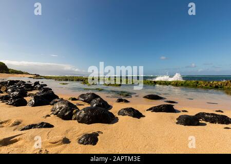 Felsen am Ho'okipa Strand und eine Welle, die gegen Algen kracht Bedeckte Felsen entlang der Küste bei Paia mit Windsurfern Der Hintergrund Stockfoto