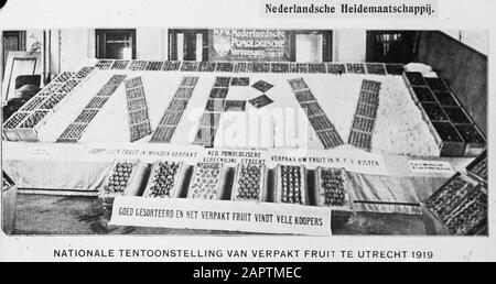 Verpacktes Obst Datum: Undatierte Stichwörter: Obstanbau Stockfoto
