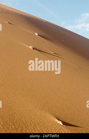 Nahaufnahme von Sanddünen und Felsen im Valle de la Luna, Atacama-Wüste. Chile Stockfoto