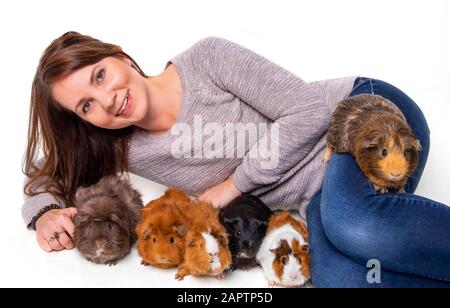 Eine Frau posiert mit ihren Meerschweinchen (Cavia porcellus) auf weißem Hintergrund; Studio Stockfoto