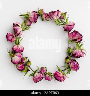 Runde Rahmen oder Kranz aus getrockneten Rosen auf Weiß. Kreative Vorlage und Feiertage Hintergrund. Stockfoto