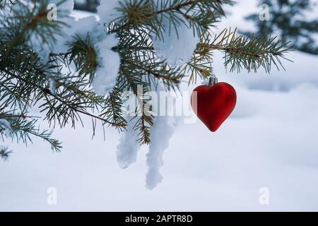 Am Zweig eines schneebedeckten immergrünen Baumes hängt rotes herzförmiges Weihnachtsornament Stockfoto