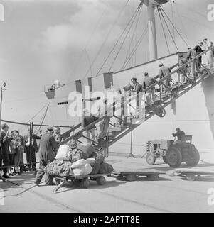Israel 1948-1949 Im Hafen von Haifa wird das Gepäck der Auswanderer (Öl) vom Träger Bulgarien entfernt Datum: 1948 Ort: Haifa, Israel Schlagwörter: Gepäck, Auswanderer, Hafenpersonal, Häfen, Schiffahrt, Traktoren, Transportmittel Stockfoto