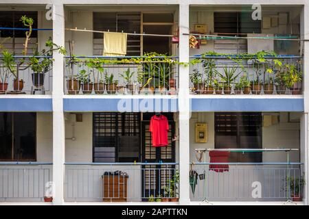 Farbenfrohe Peranakan-Häuser. Das Wort Peranakan verwendete die Einheimischen, um ausländische Einwanderer anzusprechen, die Familien in Singapur, Singapur, niedergelassen haben Stockfoto