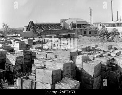 Israel 1948-1949: Kibbutz Kiwath Brenner. Kisten mit leeren Flaschen, vermutlich beim Spülen von Kibbutz Kiwath Brenner; im Vordergrund eine Kiste mit der Aufschrift NAFI. Anmerkung: Kibbutz Kiwath Brenner wird auch als Givat Brenner bezeichnet. NAAFI (Navy, Army and Air Force Institutes) ist eine britische Organisation für Militärverpflegung und Militärverpflegung. Zum ersten Mal soll es auf der Welt sein. Stockfoto