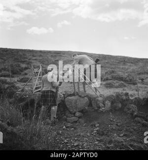 Grouse Jagen auf Skye Hunters helfen einer Frau mit einem Sprungbrett bei der Jagd auf Skye Date: Undated Location: Great Britain, Scotland, Skye Keywords: Dogs, Hunting Stockfoto