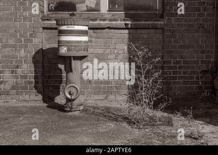 Alter Wasserhydrant, Hydrant der Feuerwehr, nicht benutzt, Ziegelwand im Hintergrund, Industriecharme, Schwarz-Weiß-Foto Stockfoto