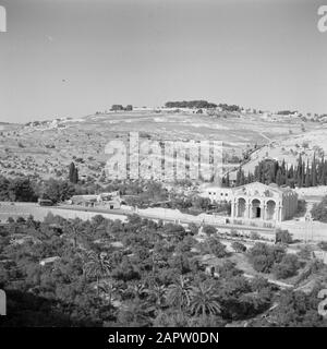 Israel 1948-1949 Jerusalem. Blick auf die Gethsemane-Kirche (Kirche aller Nationen) und den Ölberg vom Kedrondal Datum: 1948 Ort: Gethsémané, Israel, Jerusalem, Kedrondal, Olives Mountain Schlüsselwörter: Bäume, Christenheit, Hügel, Kirchenbauten, Landschaften, Täler Stockfoto