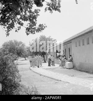 Jugendzentrum Ramat Hadassah. Jugend mit Begleitung in einem Tierheim auf dem Gelände der Einrichtung Datum: 1. Januar 1964 Ort: Israel, Ramat Hadassah Schlüsselwörter: Architektur, Bäume, Kinderschutz, Erziehung, Pädagogik, Wohnsitze Stockfoto