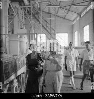 Niederländische Antillen und Suriname zum Zeitpunkt des königlichen Besuchs von Königin Juliana und Prinz Bernhard im Jahre 1955 besuchen Königin und Fürstin die Reisfabrik in Wageningen Datum: 2. November 1955 Ort: Suriname, Wageningen Schlüsselwörter: Bezopeken, Industrie, Vordächer, Königinnen persönlicher Name: Bernhard, Fürst, Juliana, Königin Stockfoto