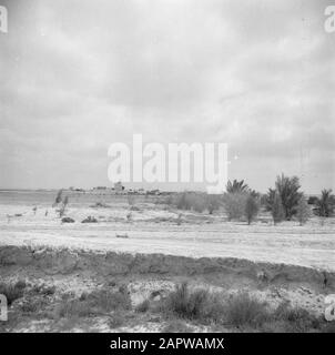 Israel 1948-1949: Negev-Wüste, Kibbutz Revivim Farmland in der Nähe von Kibbutz Revivim Datum: 1948 Ort: Israel, Negev Schlüsselwörter: Felder, Kibbutz, Wüsten Stockfoto