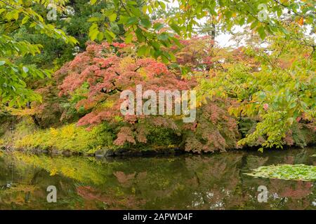 Morgenblick auf den Wassergraben rund um die Burg Hirosaki bei Hirosaki, Japan Stockfoto