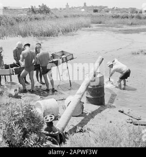 Israel: Kibbutz Ma'agan Mikhael (Ma'agan Michael) Männer bei der Arbeit an den Angelteichen Datum: Undatierter Ort: Israel, Ma'agan Mikhael Schlüsselwörter: Kibbutz, Teiche, Angeln, Fischer: Poll, Willem van de, Stockfoto