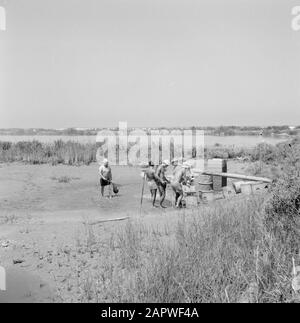 Israel: Kibbutz Ma'agan Mikhael (Ma'agan Michael) Männer bei der Arbeit an den Angelteichen Datum: Undatierter Ort: Israel, Ma'agan Mikhael Schlüsselwörter: Kibbutz, Teiche, Angeln, Fischer: Poll, Willem van de, Stockfoto