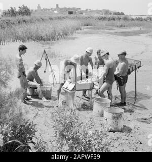 Israel: Kibbutz Ma'agan Mikhael (Ma'agan Michael) Männer bei der Arbeit an den Angelteichen Datum: Undatierter Ort: Israel, Ma'agan Mikhael Schlüsselwörter: Kibbutz, Teiche, Angeln, Fischer: Poll, Willem van de, Stockfoto