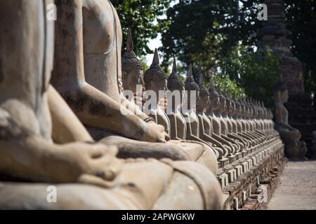 Reihe identischer Stein-buddha-Statuen im Wat Yai Chai Mongkhon Tempel Stockfoto