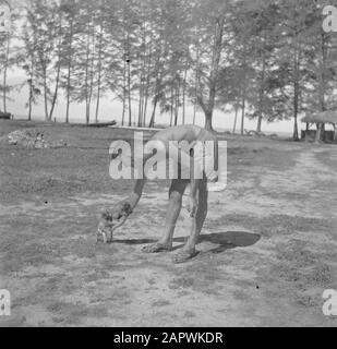 Kriegsfreiwillige in Malakka und Indonesien Militär mit zwei Affen Datum: 1946 Ort: Malakka Schlüsselwörter: Affen, Militär Stockfoto