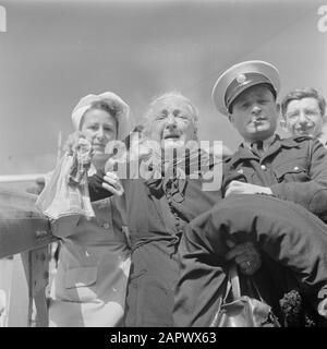 Israel 1948-1949 Aussteigen älterer Auswanderer (Öl) vom Transportschiff Bulgarien am Kai im Hafen von Haifa, wo eine Krankenschwester unterstützt wird Datum: 1948 Ort: Haifa, Israel Schlagwörter: Auswanderer, Häfen, Senioren, Schiffahrt, Uniformen, Krankenschwestern, Transportmittel Stockfoto
