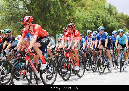 Fahrer auf Der Dritten Etappe der Tour 2020 Down Under in Adelaide Australien Stockfoto