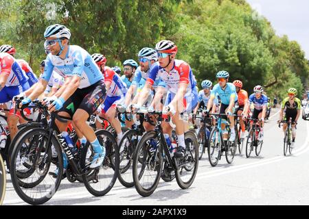 Fahrer auf Der Dritten Etappe der Tour 2020 Down Under in Adelaide Australien Stockfoto