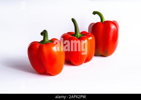 Drei rote Paprika in einer Reihe, Paprika isoliert auf weißem Hintergrund Stockfoto