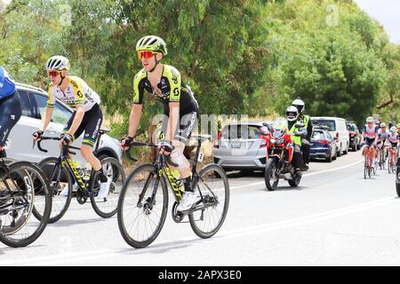 Fahrer auf Der Dritten Etappe der Tour 2020 Down Under in Adelaide Australien Stockfoto