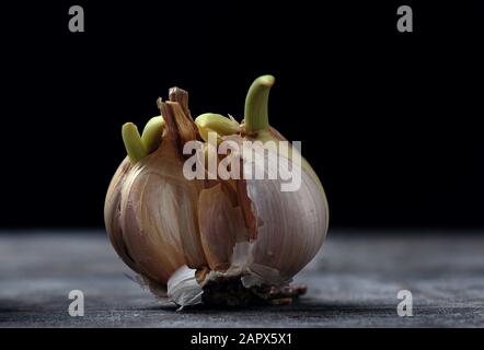 Nahansicht des Knoblauchs Stockfoto