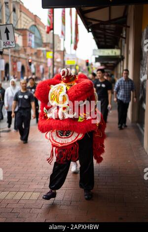 Chinesische Löwen-Tänzerinnen machen sich durch Sydneys China Town für das chinesische Neujahr 2020 auf den Weg Stockfoto