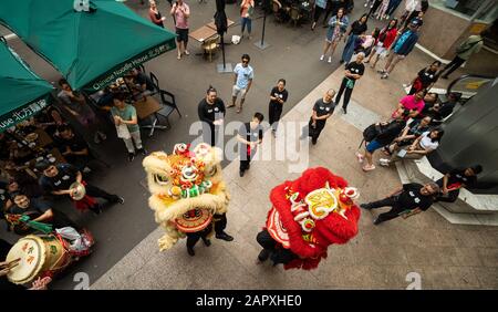 Chinesische Löwen-Tänzerinnen machen sich durch Sydneys China Town für das chinesische Neujahr 2020 auf den Weg Stockfoto