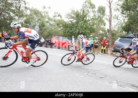 Fahrer, die auf Stufe 3 der Tour 2020 Im Radrennen in der Nähe von Adelaide Australia antreten Stockfoto