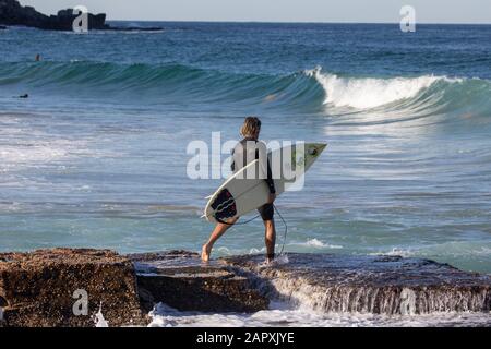 Sydney, männlicher Surfer bringt sein Surfbrett zum Meer am Avalon Beach, Australien Stockfoto