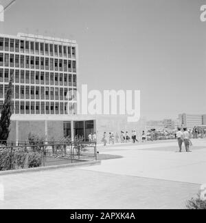 Israel 1964-1965: Jerusalem (Jerusalem), Studenten der Hebräischen Universität auf dem Campus der Hebräischen Universität in Jerusalem Anmerkung: Am 1. April 1925 wurde die Hebräische Universität Jerusalem während einer festlichen Zeremonie eröffnet, an der die Führer der Welt teilnahmen. Der erste Vorstand der Universität bestand aus Berühmtheiten wie Albert Einstein, Sigmund Freud, Martin Buber, James Rothschild und Sir Alfred Mond Datum: 1964 Ort: Israel, Jerusalem Schlüsselwörter: Campus, Gebäude, Panoramas, Studenten, Universitäten Stockfoto