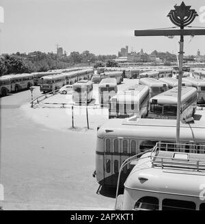 Israel 1964-1965: Tel Aviv, Sabbat Tel Aviv am Sabbat: Busse auf dem Parkplatz des Depots. Im Hintergrund ein Gebäude der Trans World Airlines (TWA) Datum: 1964 Standort: Israel, Tel Aviv Schlüsselwörter: Busse, Gebäude, jüdische Religion, Parkplätze, Straßenbilder Stockfoto