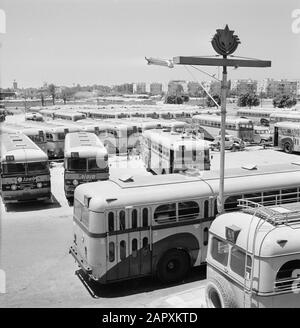 Israel 1964-1965: Tel Aviv, Sabbat Tel Aviv am Sabbat: Busse auf dem Parkplatz des Untergangs Datum: 1964 Ort: Israel, Tel Aviv Schlüsselwörter: Busse, Gebäude, jüdische Religion, Parkplätze, Straßenbilder Stockfoto