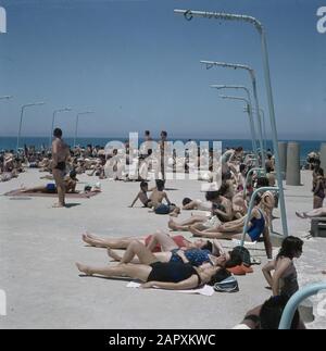 Israel 1964-1965 Tel Aviv. Sunbaders auf dem Boulevard am Sabbat Datum: 1964 Ort: Israel, Tel Aviv Schlüsselwörter: Strand, Freizeit Stockfoto