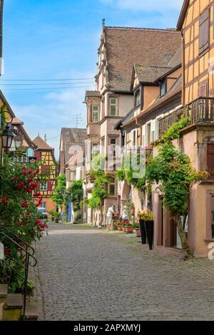 Historische Häuser in Gasse, Riquewihr, Elsaß, Frankreich Stockfoto