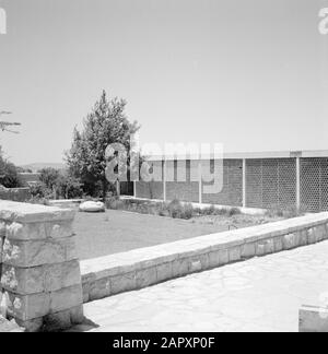 Israel 1964-1965: Jerusalem (Jerusalem), Hebräischer Universitätsgarten und gepflasterter Weg auf dem Campus der Hebräischen Universität in Jerusalem Anmerkung: Am 1. April 1925 wurde die Hebräische Universität Jerusalem während einer festlichen Zeremonie eröffnet, an der die Führer der Welt teilnahmen. Der erste Vorstand der Universität bestand unter anderem aus Albert Einstein, Sigmund Freud, Martin Buber, James Rothschild und Sir Alfred Mond Datum: 1964 Standort: Israel, Jerusalem Schlüsselwörter: Campus, Gebäude, Universitäten, Teiche Stockfoto