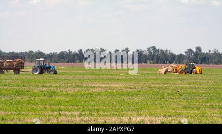 Einen landwirtschaftlichen Traktor Lader lasten Heuballen in einen Traktor Anhänger auf dem Feld Stockfoto