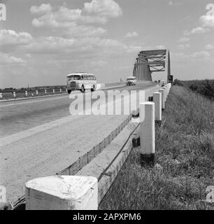 Verkehrswege und Brücken in den Niederlanden Zwei Schulbusse auf der Viaanse Brug (der alten Straßenbrücke) über die Lek Datum: 1. Juni 1952 Standort: Utrechter (Provinz), Vianen Schlüsselwörter: Busse, Brücken, Autobahnen, Verkehr Stockfoto