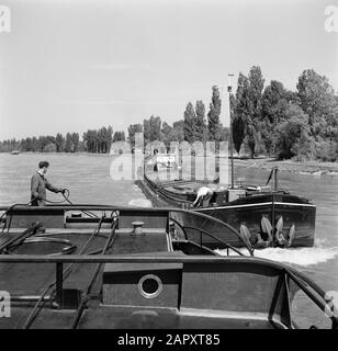 Rheinnavigation, Bericht über Wohnen und Arbeiten an Bord eines Rheinschiffs, Das Einen Lastkahn an der Damco 230 befestigt Datum: 1. April 1955 Standort: Deutschland, Westdeutschland Schlagwörter: Lastkähne, Flüsse, Skipper Stockfoto