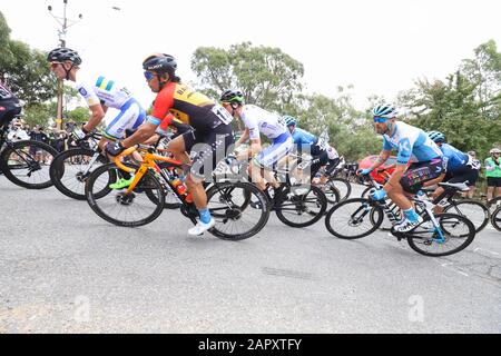 Fahrer, die auf Stufe 3 der Tour 2020 Im Radrennen in der Nähe von Adelaide Australia antreten Stockfoto