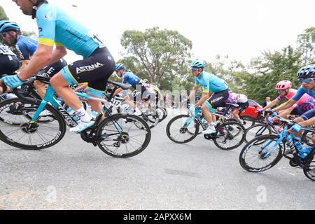 Fahrer, die auf Stufe 3 der Tour 2020 Im Radrennen in der Nähe von Adelaide Australia antreten Stockfoto