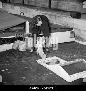 Das Segel-Hausboot Siegfried & Erik am Ufer der seine Frau gibt auf dem Deck eines Schiffes stehen, die Nachrichten an den Mann über eine Luke Datum: 1950 Ort: Frankreich, Paris Stichwörter: Lebensmittel, Gemüse, Schiffe, Frauen Stockfoto