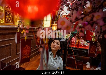 Palu, Central Sulawesi, Indonesien, 24. Januar: Chinesische Nachfahren pflücken nach dem Gebet Früchte auf einem Baum der Hoffnung, um das chinesische Neujahr auf der Eka Dharma Manggala Vihara in Palu, Central Sulawesi, Indonesien am 24. Januar 2020 zu begrüßen. Es werden gebeten, den chinesischen Lunar Neujahr 2571/2020 zu begrüßen und um Segen, Sicherheit und Schutz vor dem Yang Allmächtigen zu bitten. Die Tanzattraktion der Löwen war auch ein Symbol für viel Glück und Segen. (Bild: BmzIMAGES/Basri Marzuki) Stockfoto