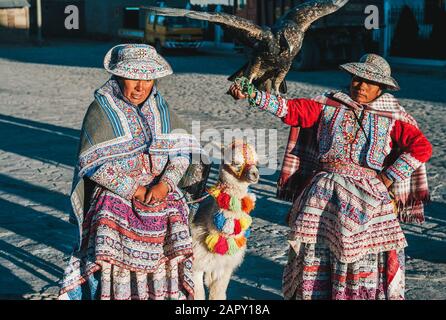 Yanque, Region Arequipa, Peru - 22. Juli 2010: Zwei Frauen in Traditionellem, Lokalem Kostüm, Die Ein Llama und einen Adler im Colca Canyon zeigen. Stockfoto