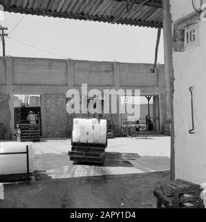 Wine Company Carmel Mizrachi Weingüter in Rishon le Zion. Gabelstapler mit Eisblöcken für den Produktionsprozess des Weins Datum: 1. Januar 1960 Standort: Israel, Rishon le Zion Schlüsselwörter: Gabelstapler, Eis, Industrie, Transport, Weinanbau Stockfoto