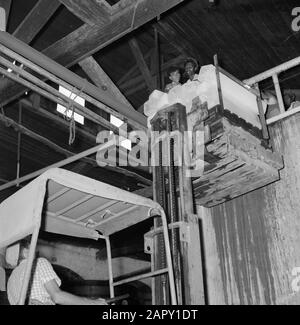 Wine Company Carmel Mizrachi Weingüter in Rishon le Zion. Gabelstapler mit Eisblöcken für den Produktionsprozess des Weins Datum: 1. Januar 1960 Standort: Israel, Rishon le Zion Schlüsselwörter: Gabelstapler, Eis, Industrie, Transport, Weinanbau Stockfoto